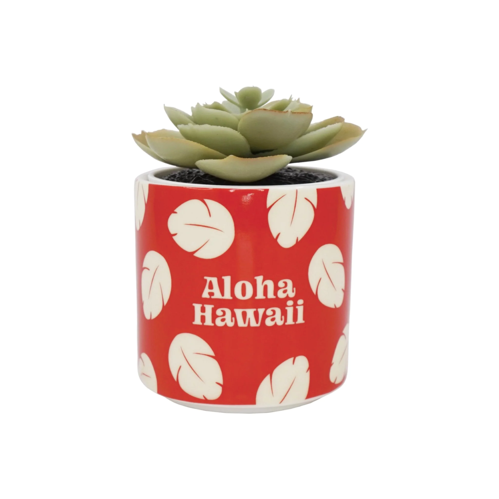 Disney - Pot pour plantes Lilo et Stitch - flash vidéo