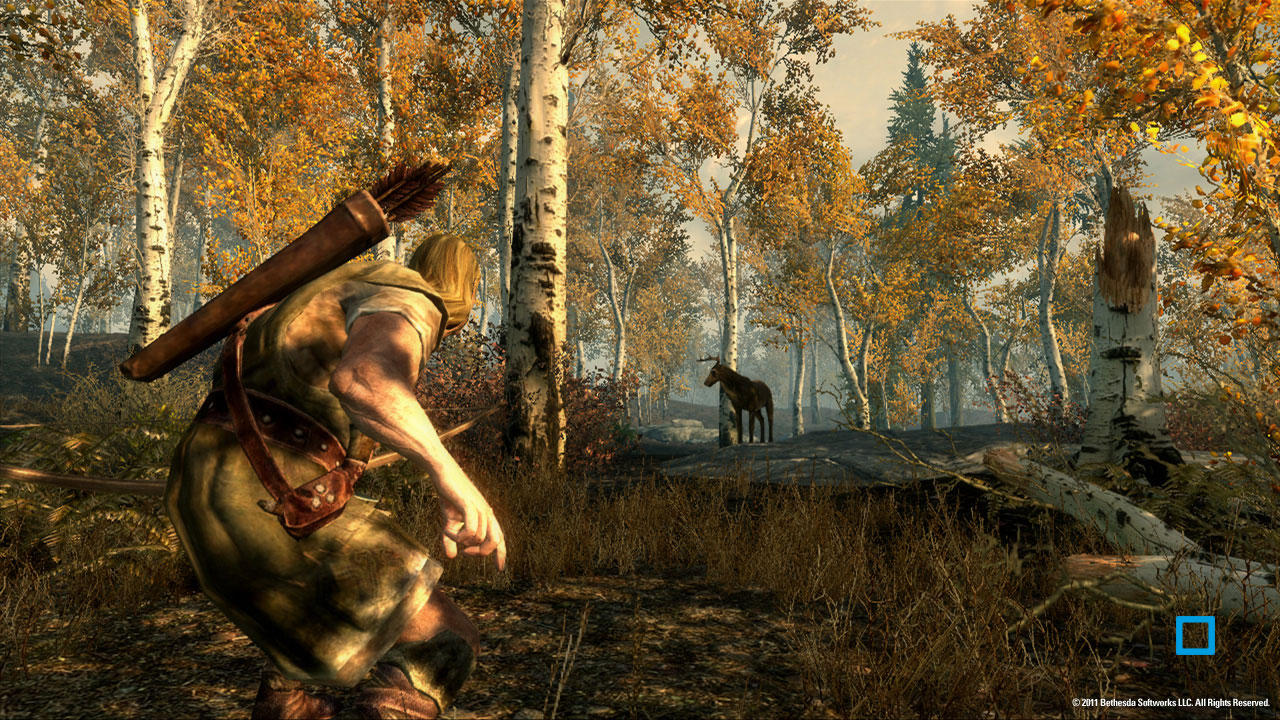 The Elder Scrolls V : Skyrim Special Edition - flash vidéo