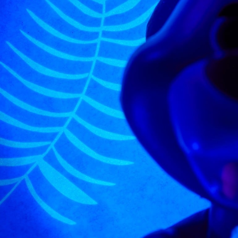 Wow! POD - Disney Classic - Baloo - flash vidéo