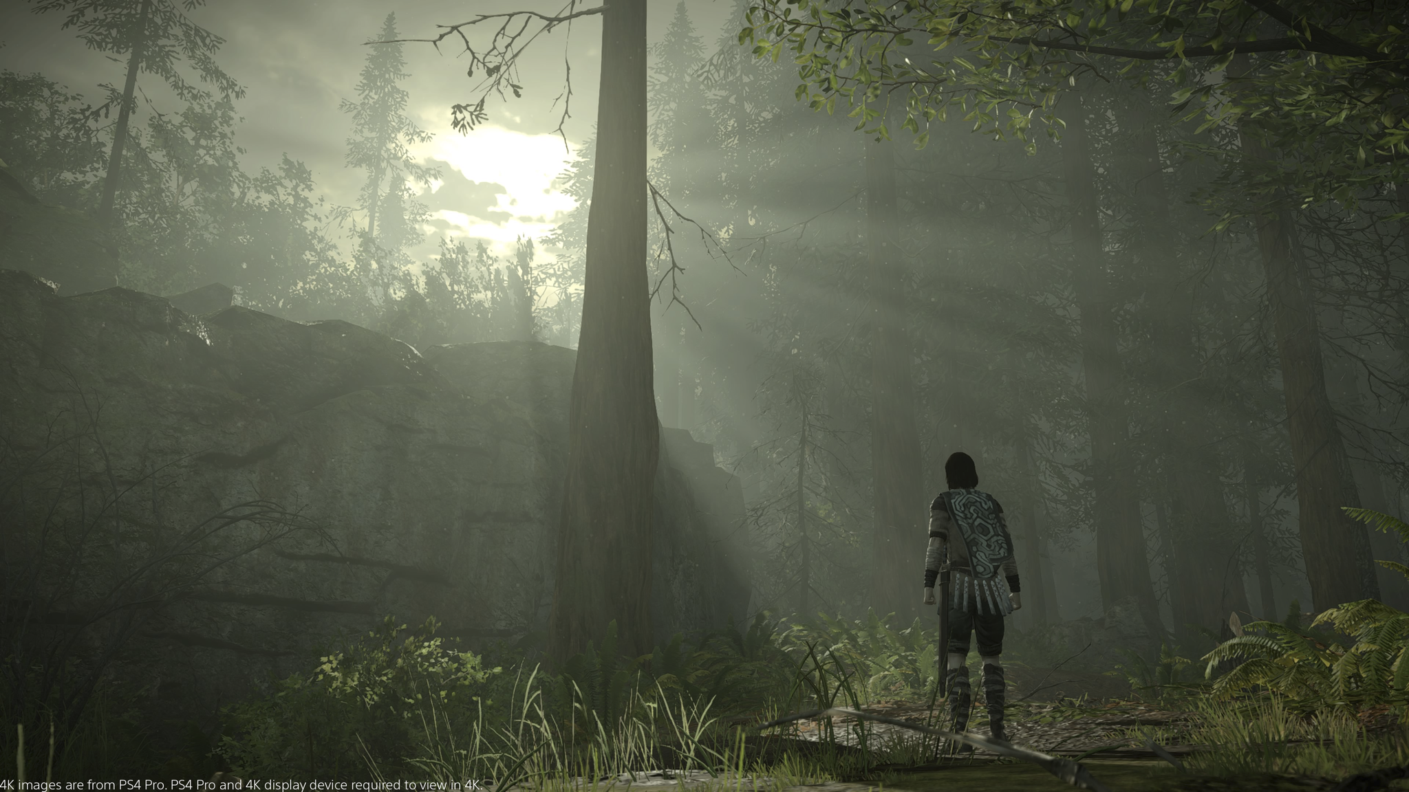 Shadow of the Colossus - flash vidéo