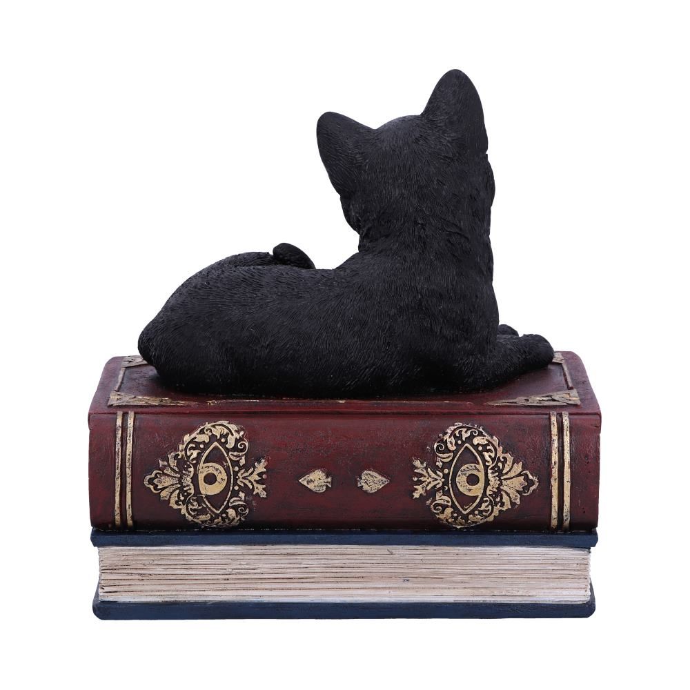 Figurine de collection Salem et boîte à sortilèges 11.7cm - flash vidéo