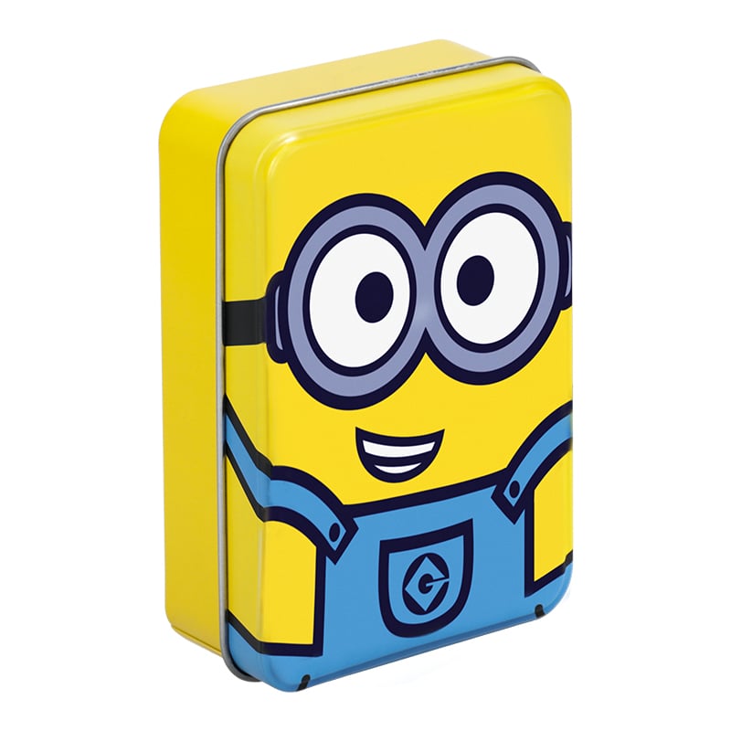 DreamWorks - Cartes à jouer Minions - flash vidéo
