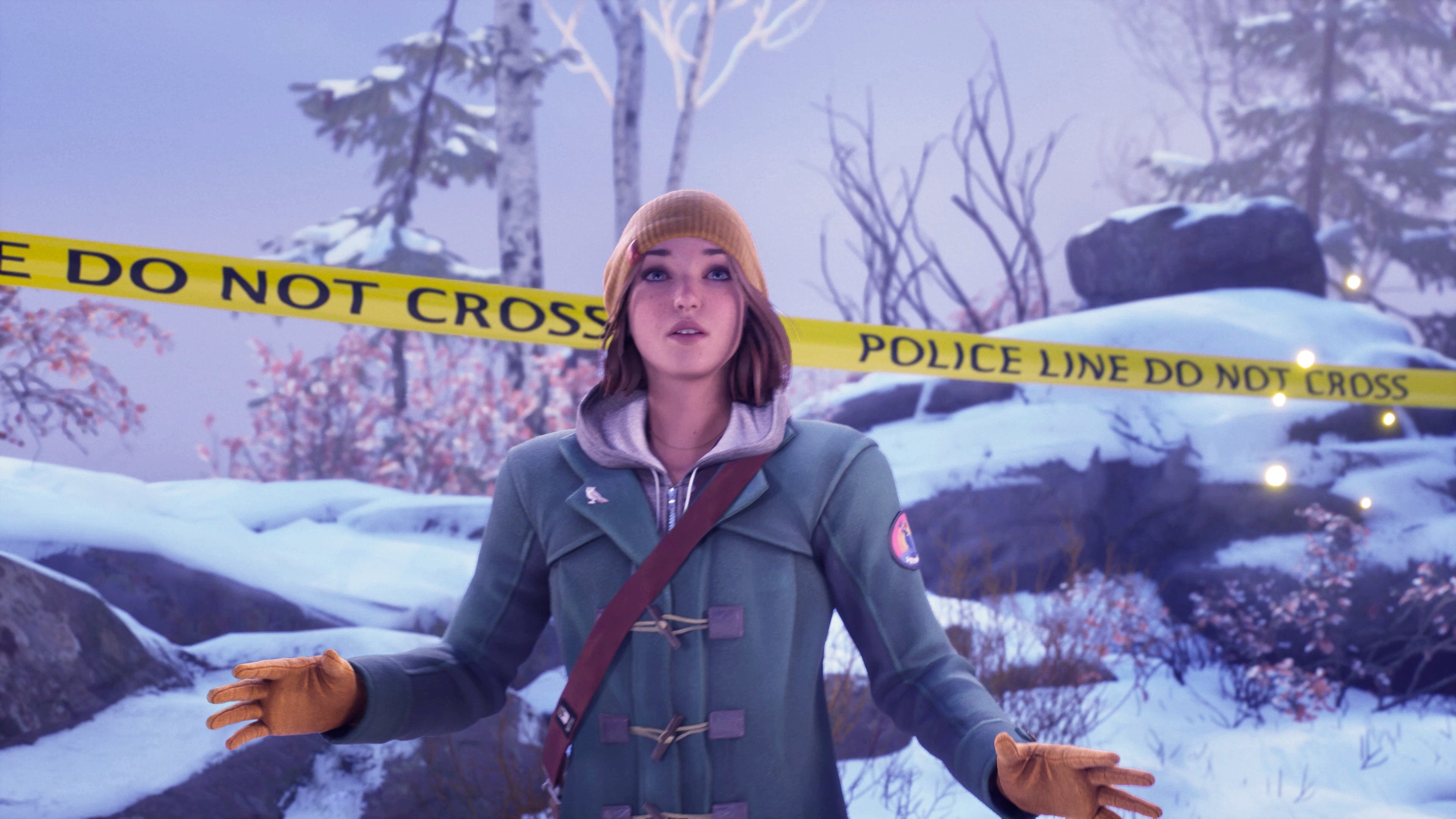 Life is Strange : Double Exposure - flash vidéo