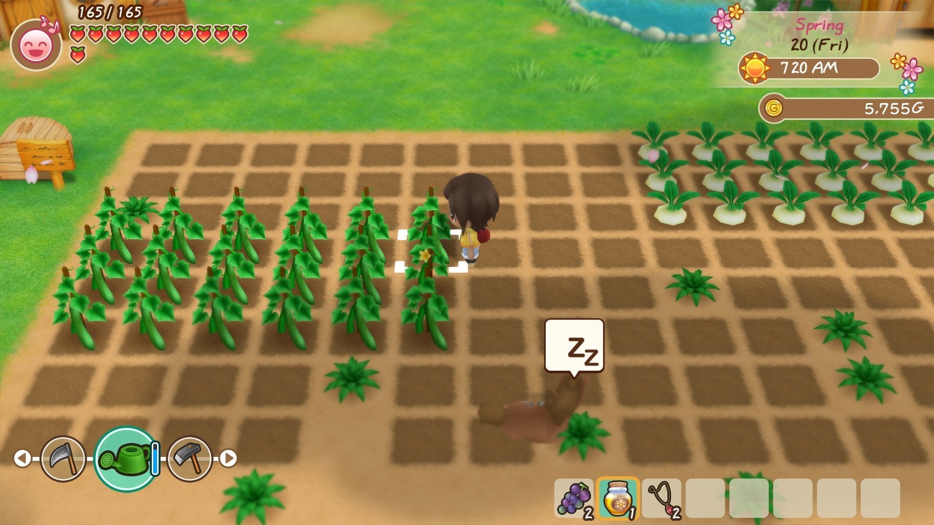 Story of Seasons: Friends of Mineral Town - flash vidéo