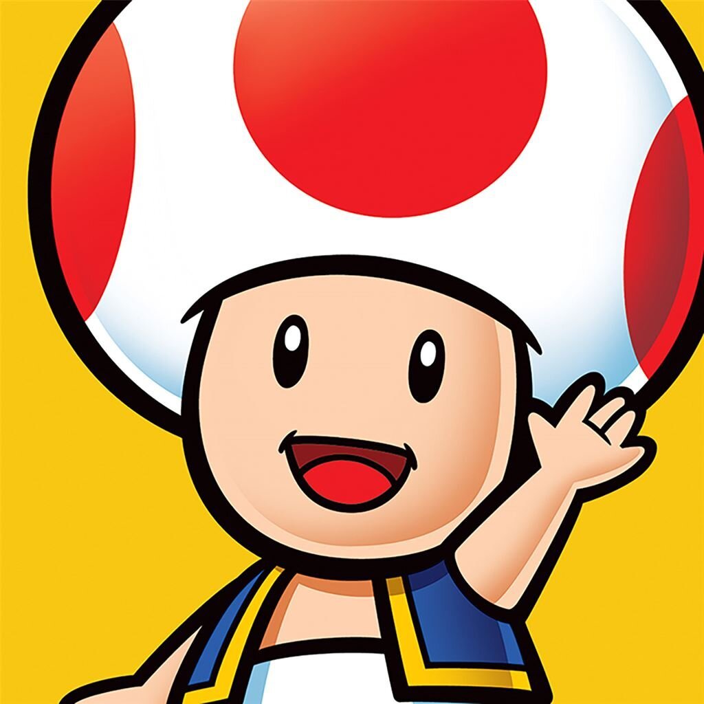 Nintendo - Super Mario - Impression sur toile Toad 40x40cm - flash vidéo