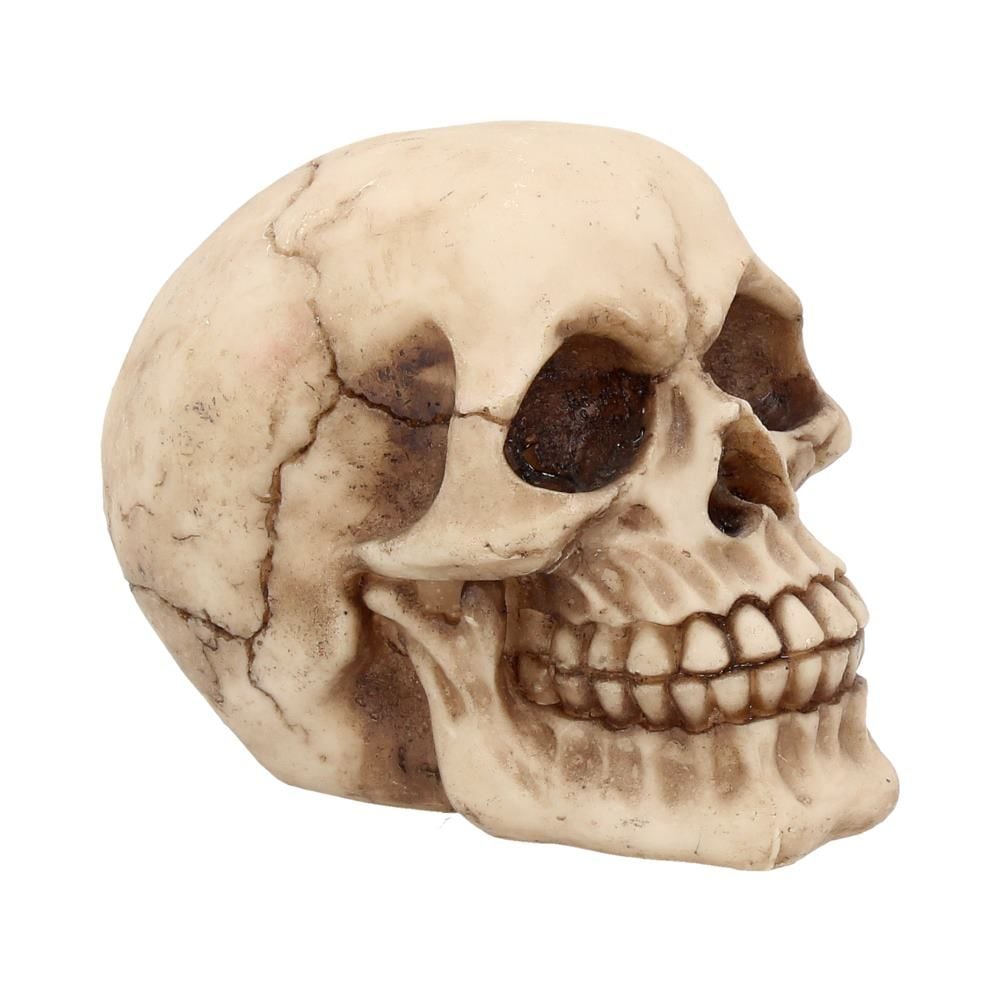 Joker Skull 12cm - flash vidéo
