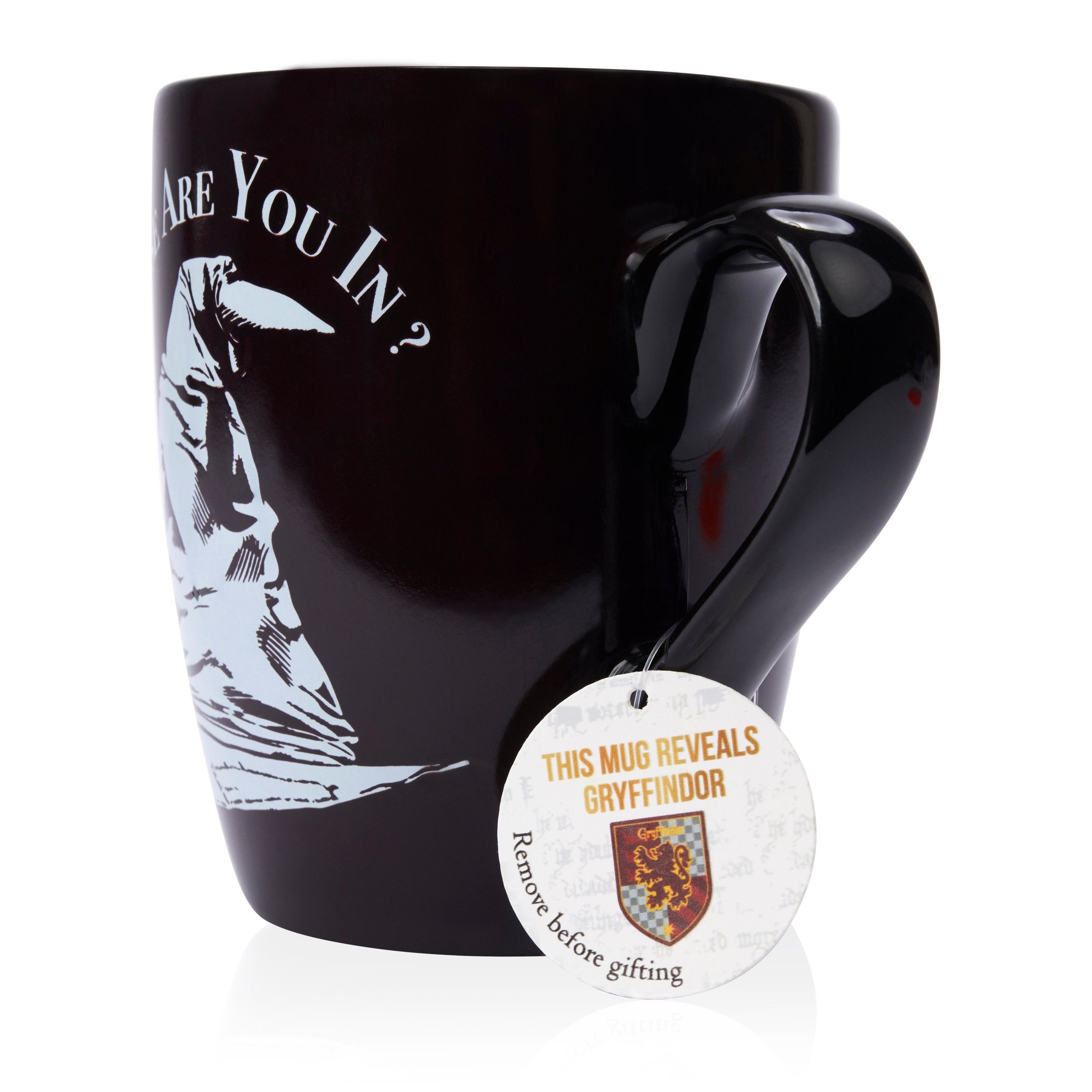 Harry Potter - Mug thermoréactif de la cérémonie de répartition Gryffondor - flash vidéo