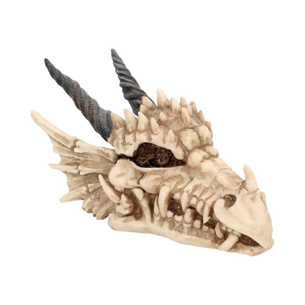 Dragon Skull Box 20cm - flash vidéo