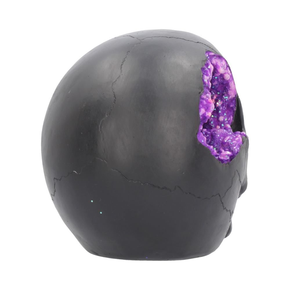 Geode Skull 17cm - flash vidéo