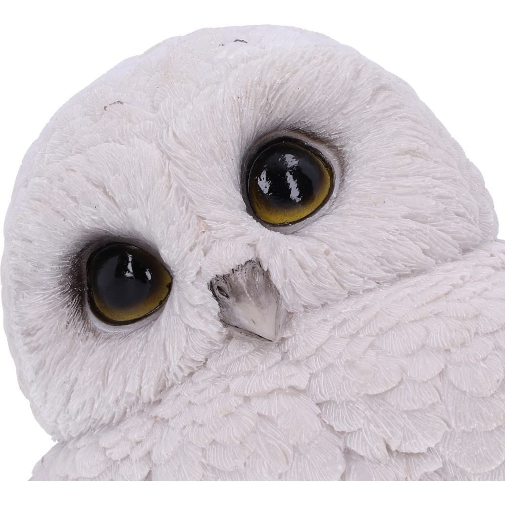 Figurine de collection Hibou mignon 12.5cm - flash vidéo