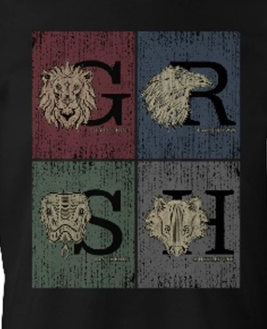 Harry Potter - T-Shirt Noir Poudlard Grunge - XL - flash vidéo