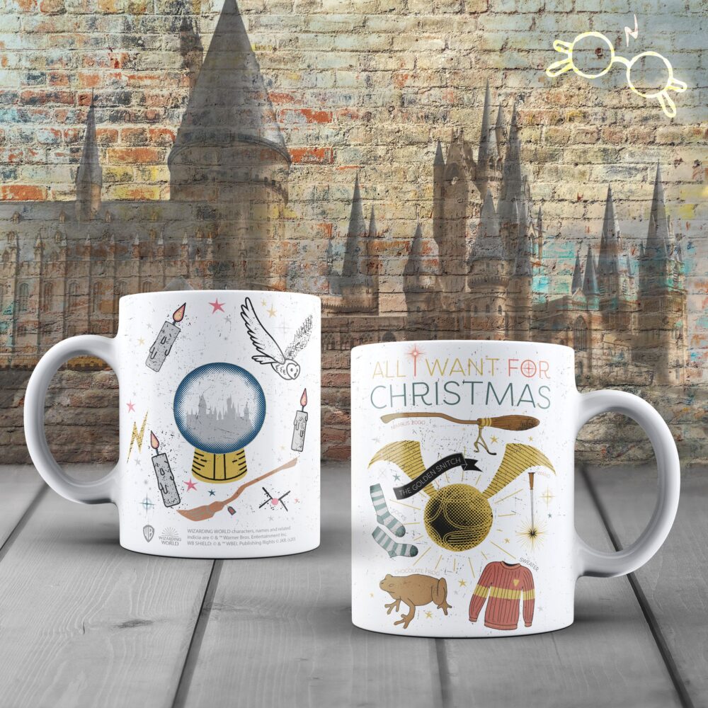 Wizarding World - Harry Potter - Mug - Noël - flash vidéo