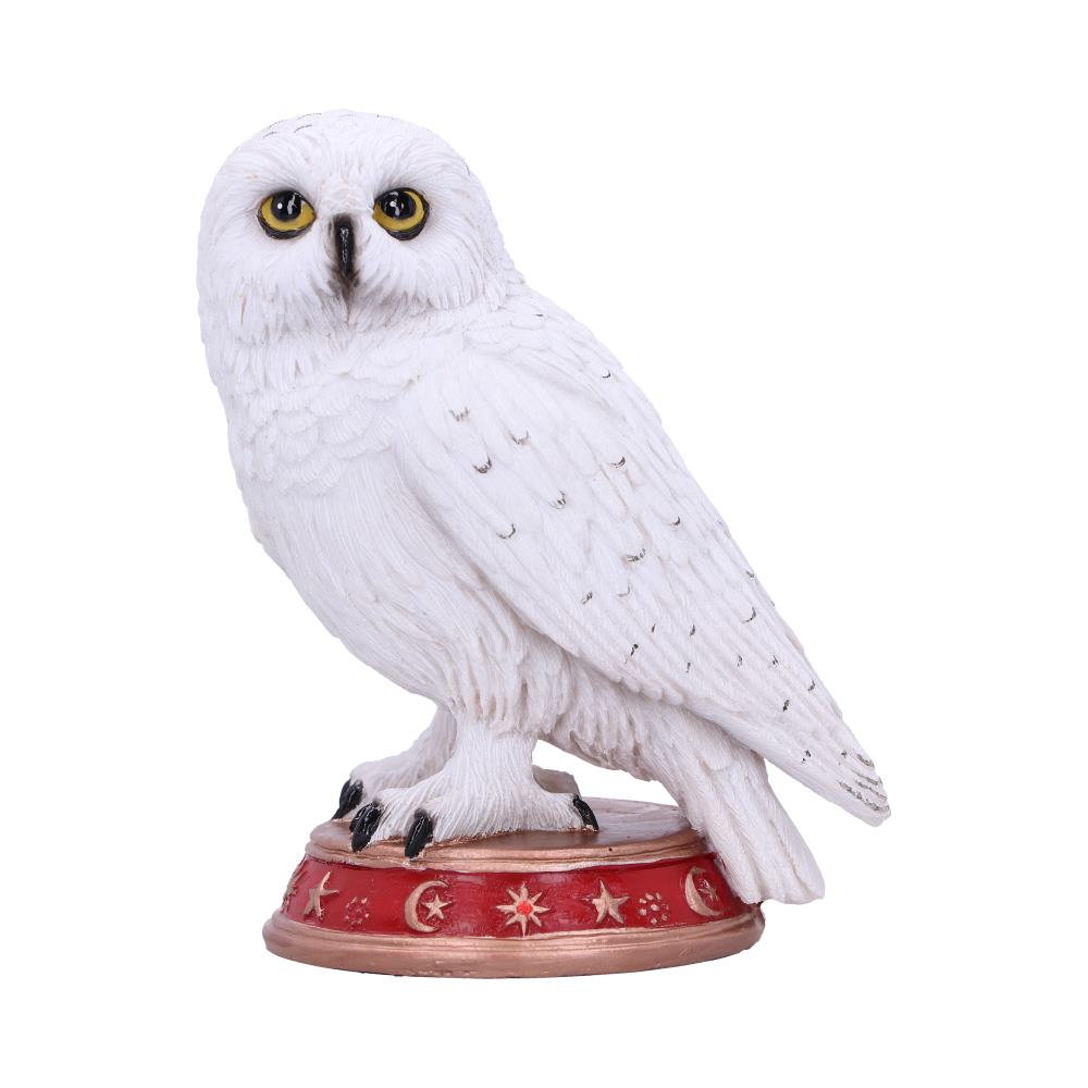Hibou Familier du Sorcier Figurine 10cm - flash vidéo