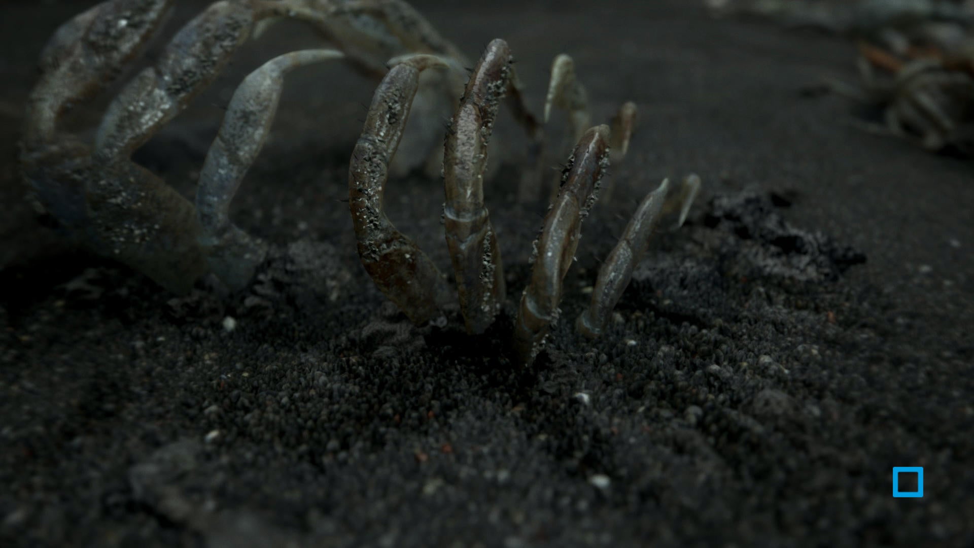 Death Stranding - flash vidéo