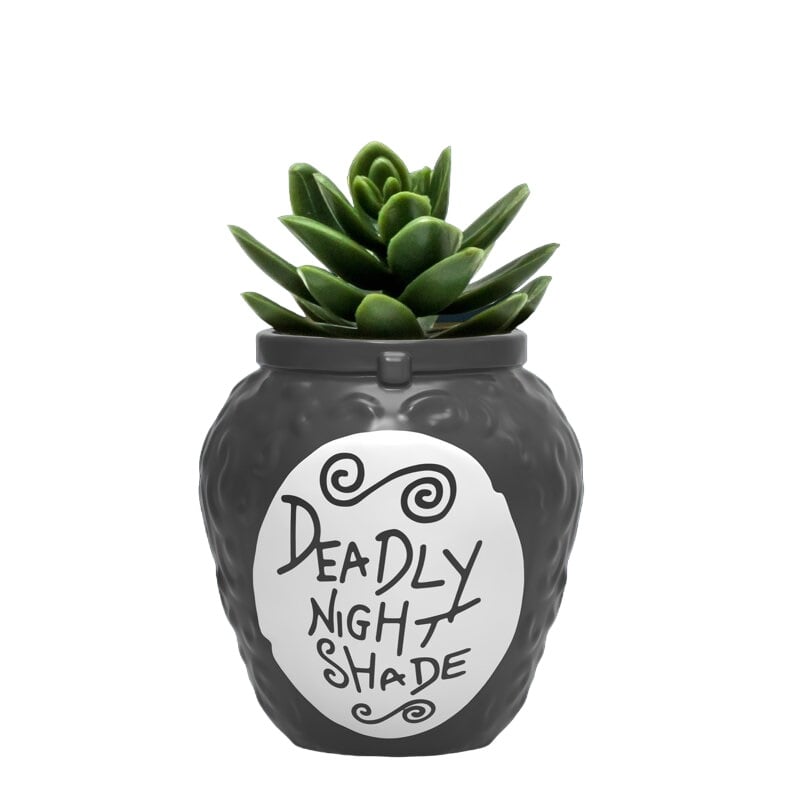 Disney - L'Étrange Noël de monsieur Jack - Pot à Crayons et Plantes Deadly Nightshade - flash vidéo