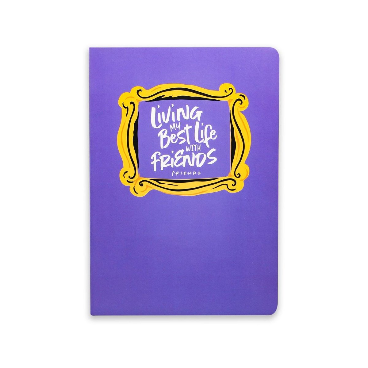 Friends - Carnet de notes A5 flexible "J'aimerais mieux regarder..." - flash vidéo