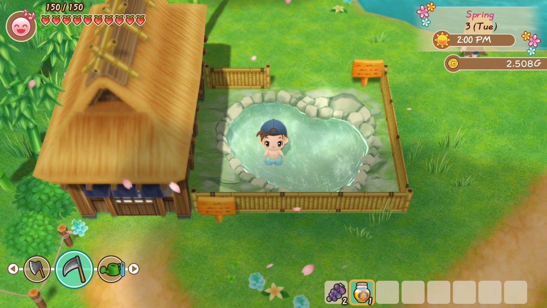 Story of Seasons: Friends of Mineral Town - flash vidéo