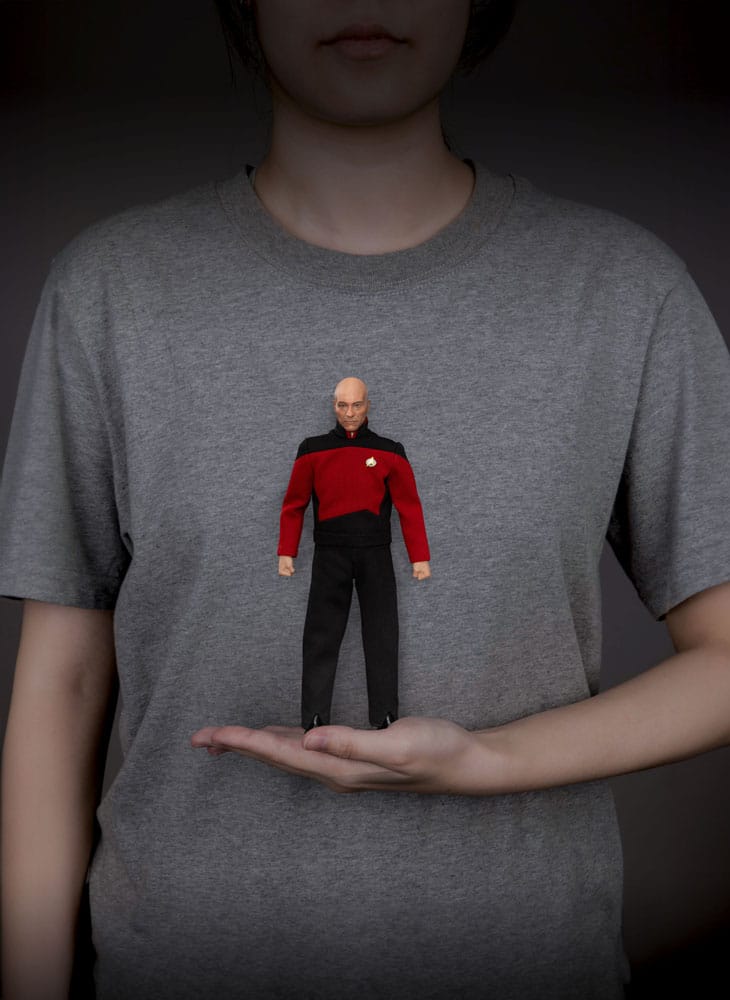 Star Trek : Générations figurine Jean-Luc Picard 20 cm