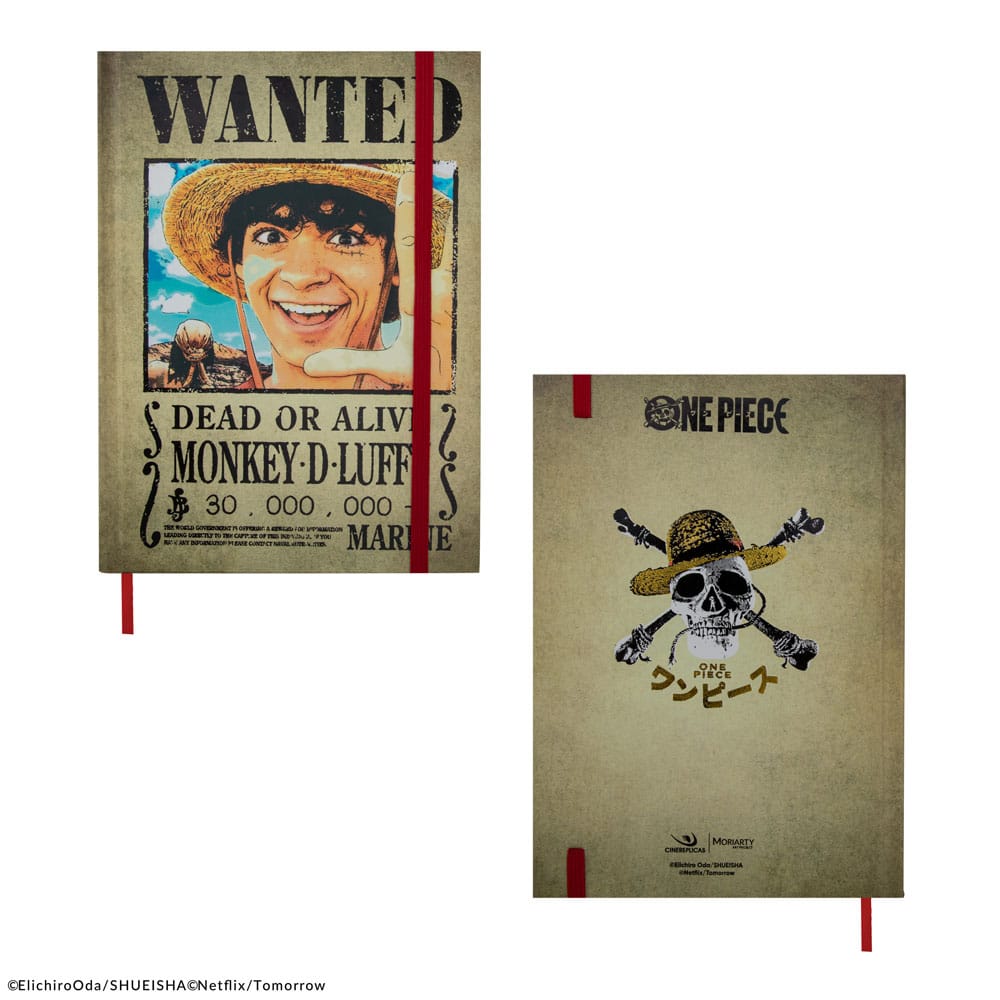 One Piece carnet Wanted Posters