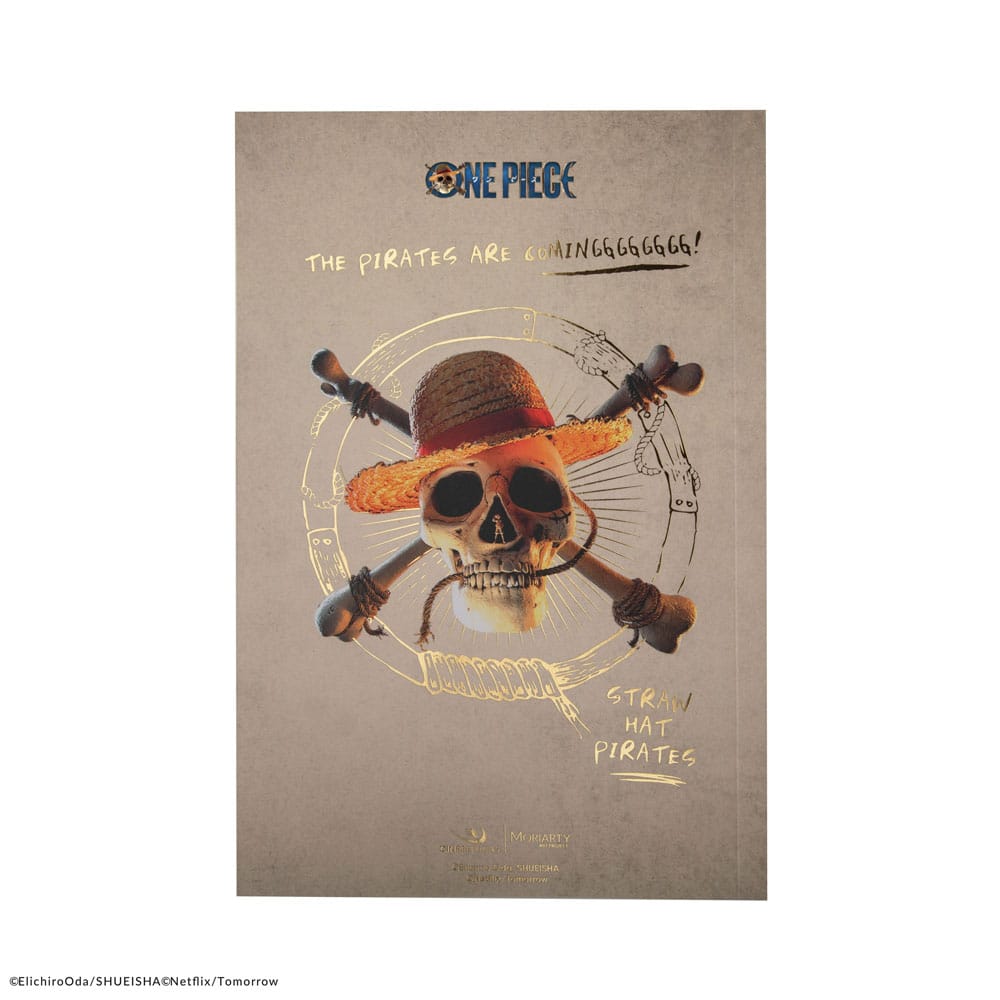 One Piece carnet Luffy