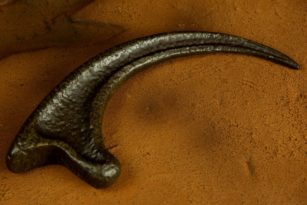 Jurassic Park réplique 1/1 griffe Raptor