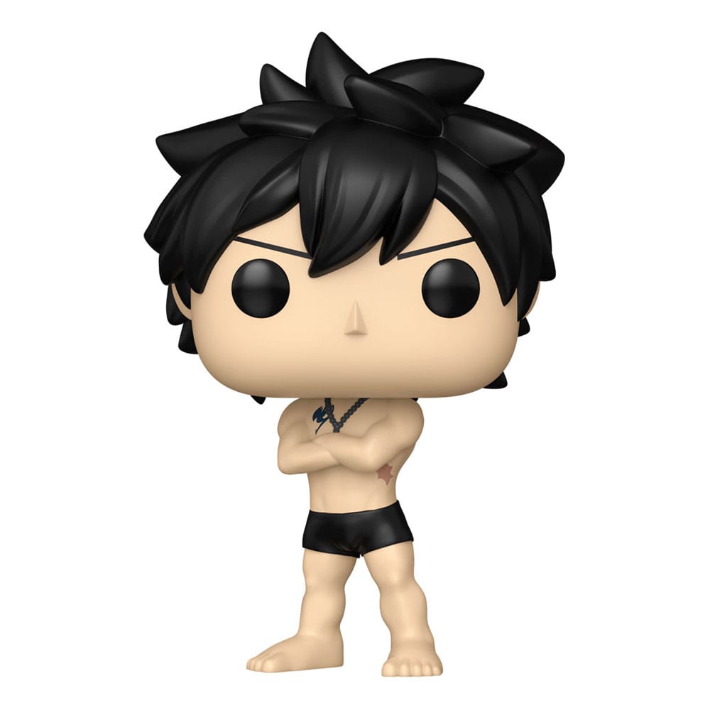 Fairy Tail 100 Year Quest assortiment POP! Animation Vinyl figurines Gray w/Chase 9 cm (6)