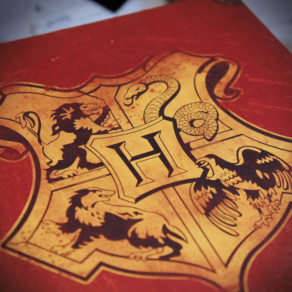 Harry Potter coffret cadeau Collector Harry Potter's Journey to Hogwarts Collection