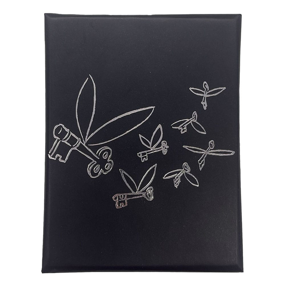 Harry Potter pendentif et collier Flying Key