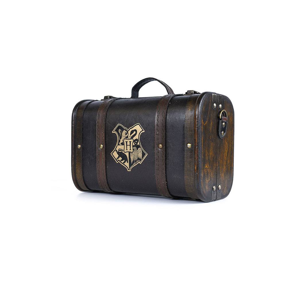 Harry Potter coffret cadeau Trouble Finds Me