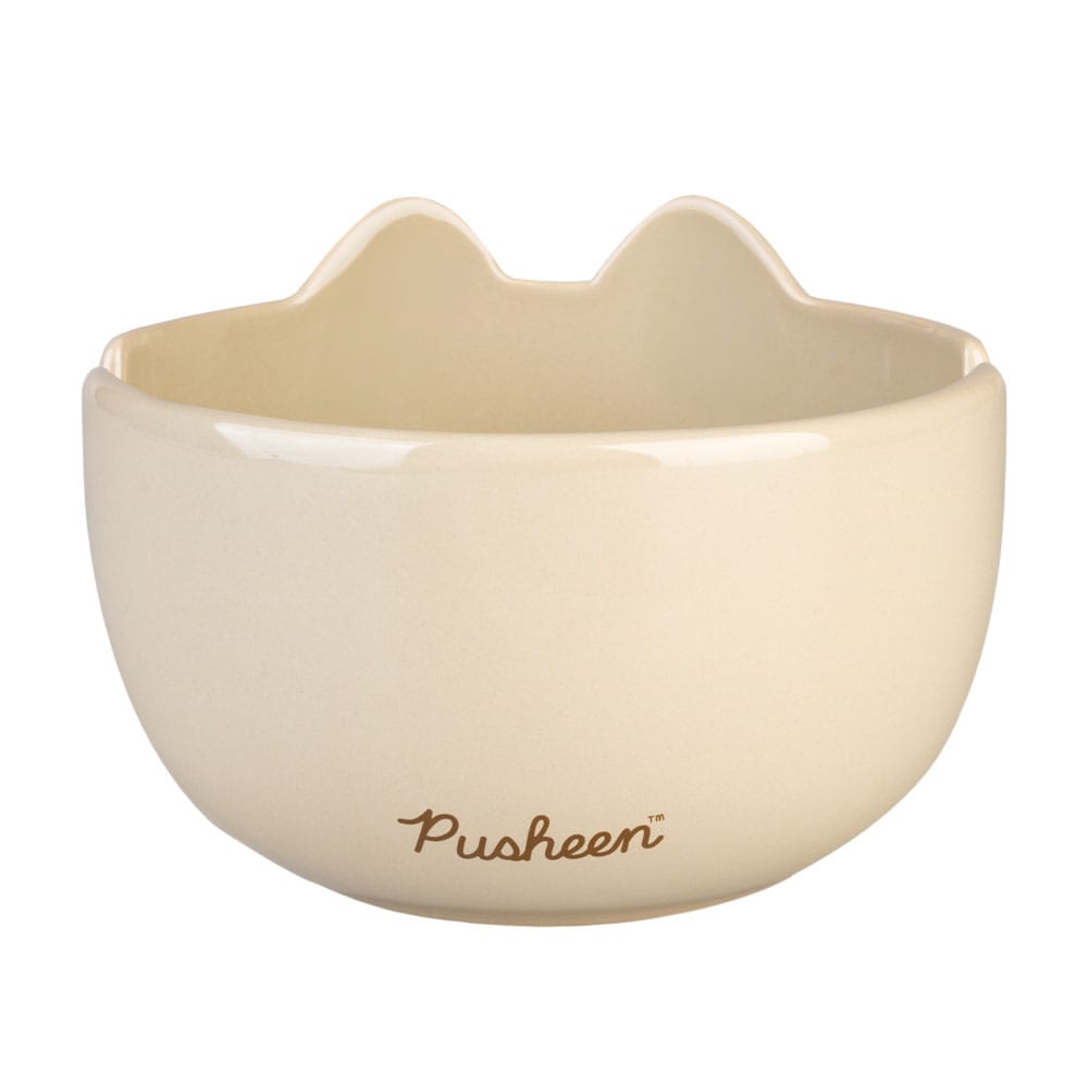 Pusheen bol de ramen
