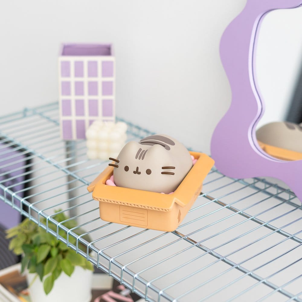 Pusheen tirelire