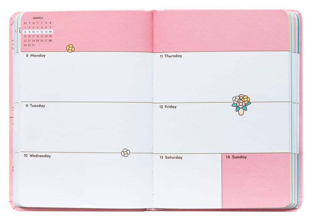 Pusheen planificateur académique Tropical Vacation 2026/27 A6 *ANGLAIS*