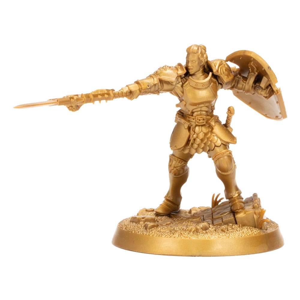 Warhammer Age of Sigmar présentoir figurines miniatures Warhammer Heroes: Stormcast Eternals (8)