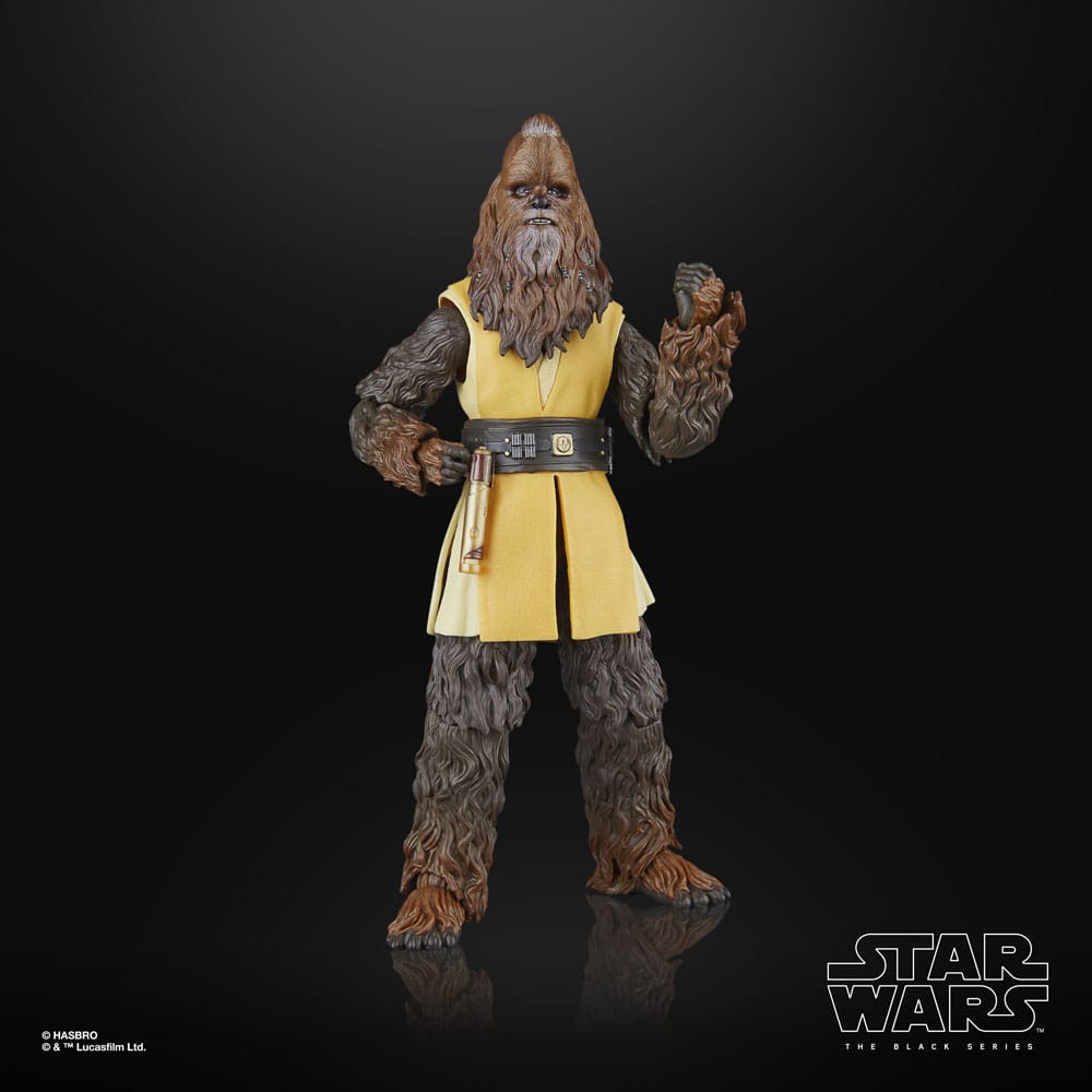 Star Wars: The Acolyte Black Series figurine Jedi Master Kelnacca 15 cm
