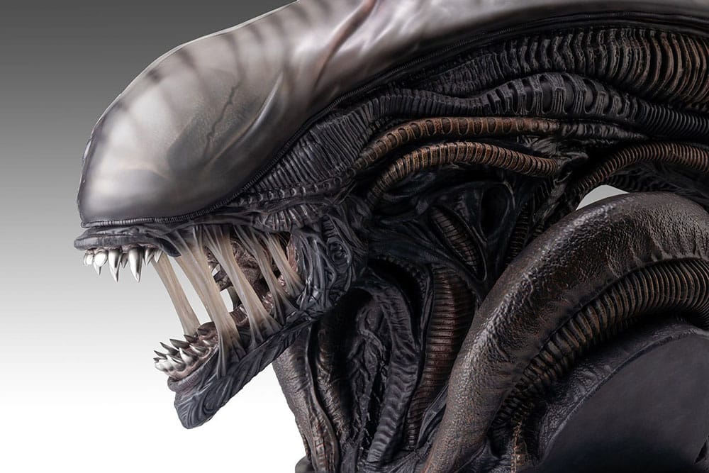 Alien Romulus buste 1/1 Xenomorph 53 cm