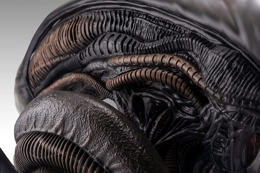 Alien Romulus buste 1/1 Xenomorph 53 cm