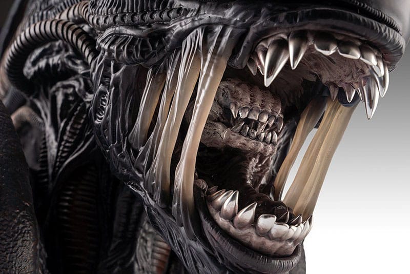 Alien Romulus buste 1/1 Xenomorph 53 cm