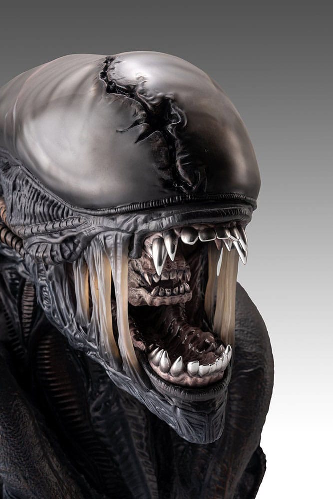 Alien Romulus buste 1/1 Xenomorph 53 cm