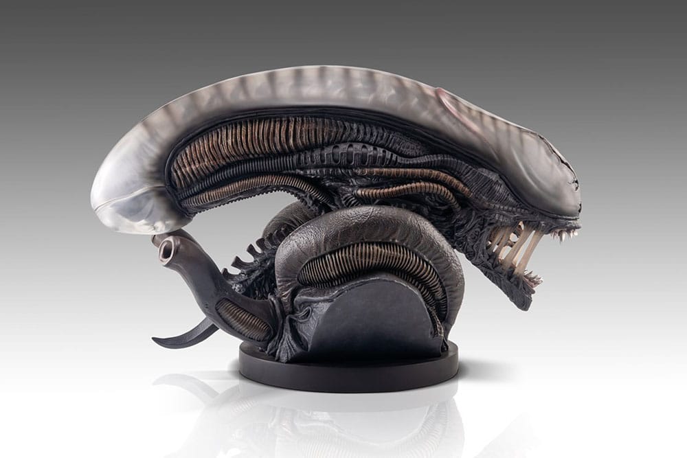 Alien Romulus buste 1/1 Xenomorph 53 cm