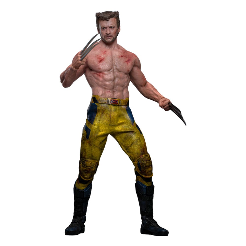 Deadpool & Wolverine Movie Masterpiece figurine 1/6 Wolverine (TVA Jacket Version) 31 cm