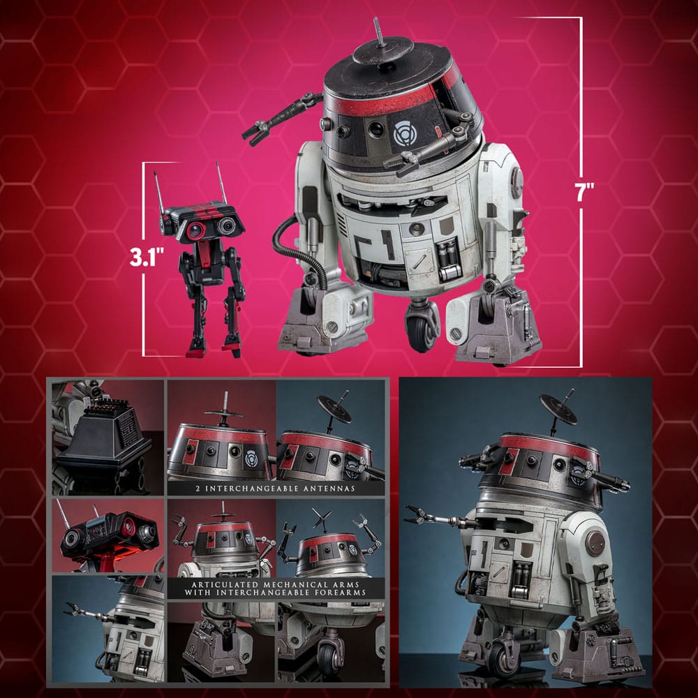 Star Wars figurine set 1/6 Chopper (C1-10P™) & BD-1™ (Imperial Disguise) 18 cm & 8 cm