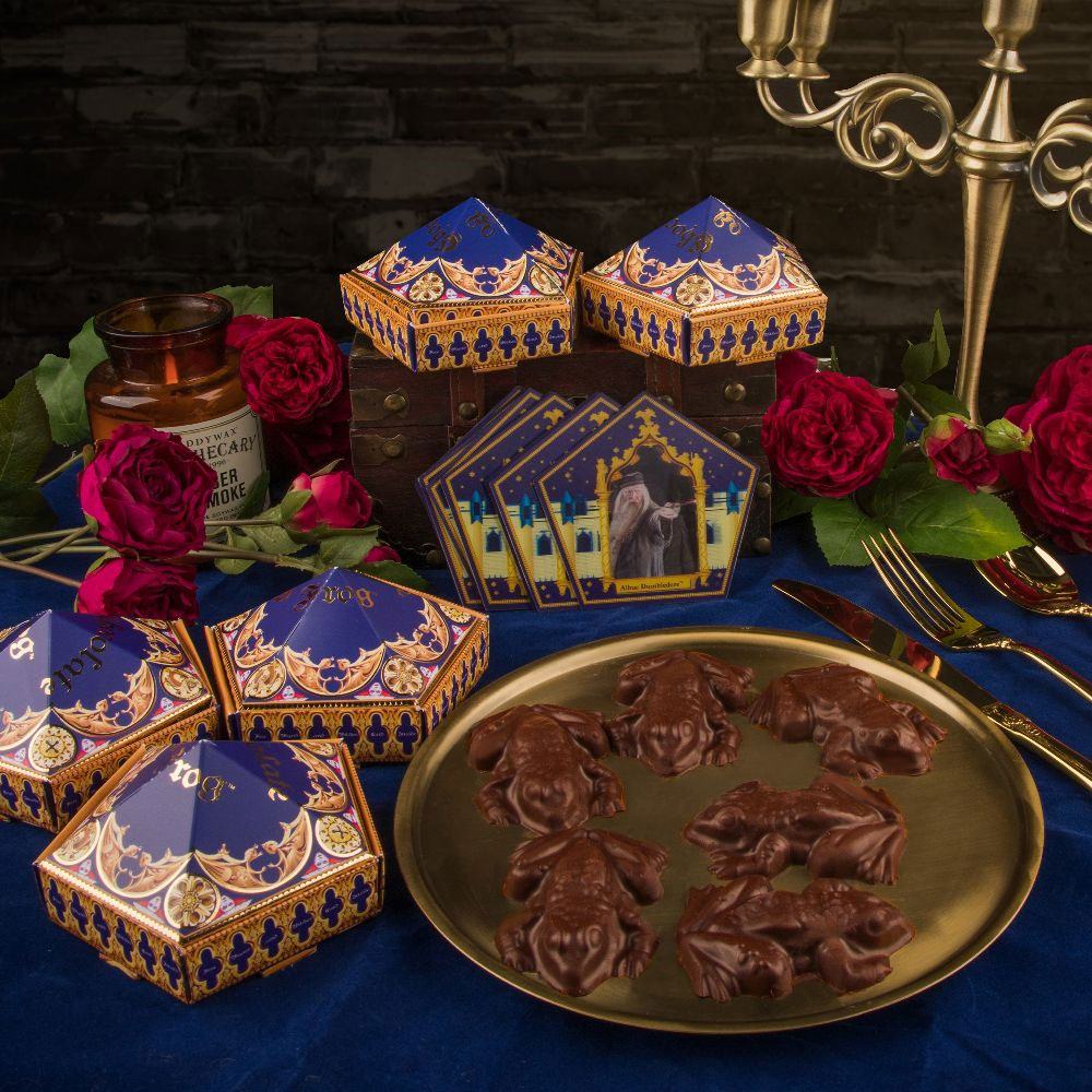 Harry Potter moule à Chocogrenouilles New Edition