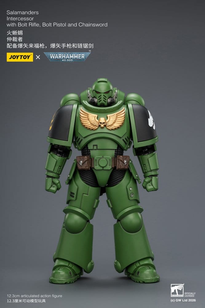 Warhammer 40,000 figurine Salamanders Intercessor 12 cm