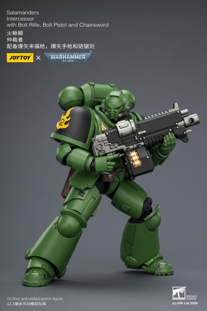 Warhammer 40,000 figurine Salamanders Intercessor 12 cm