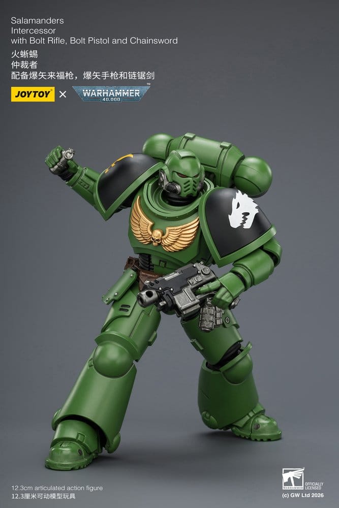 Warhammer 40,000 figurine Salamanders Intercessor 12 cm