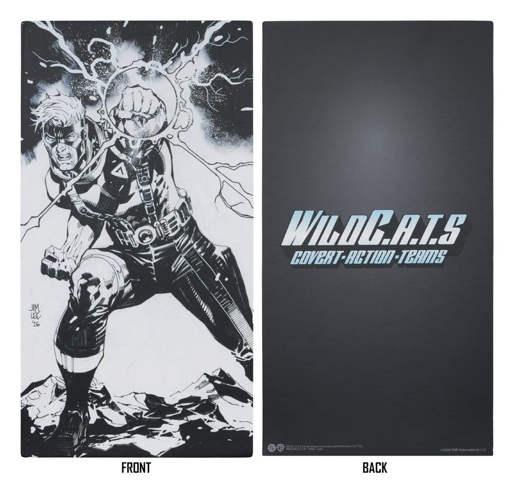 WildC.A.T.S Elite Edition Image Comic Founders Series Deluxe Figurine Spartan 19 cm