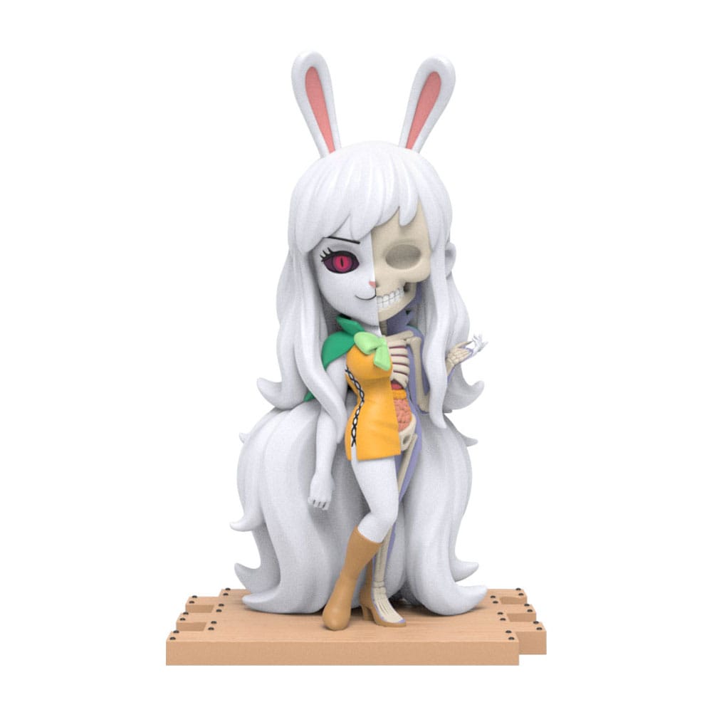 One Piece présentoir Blind Box Hidden Dissectibles Series 5 (Ladies ed.) (6)