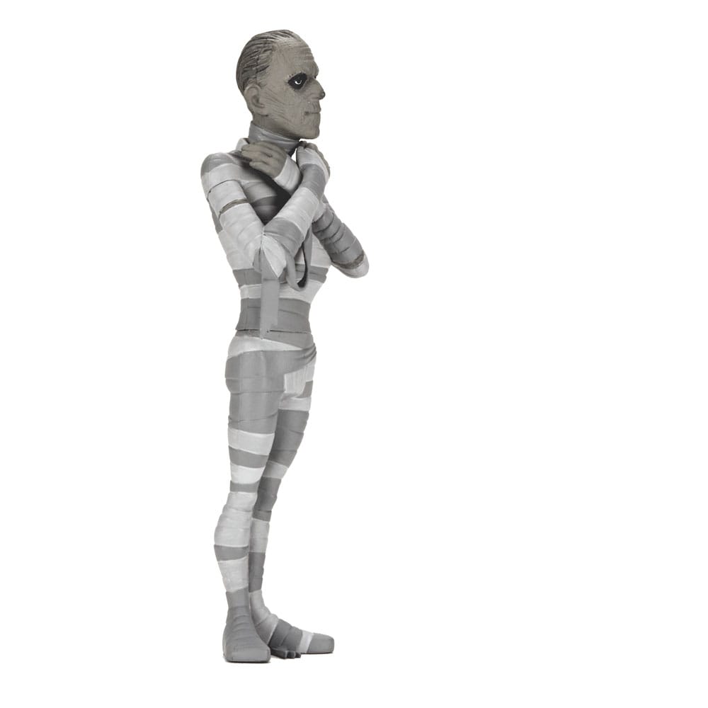 Universal Monsters Toony Terrors assortiment figurines 15 cm Silver Screen Edition Series 10 (12)