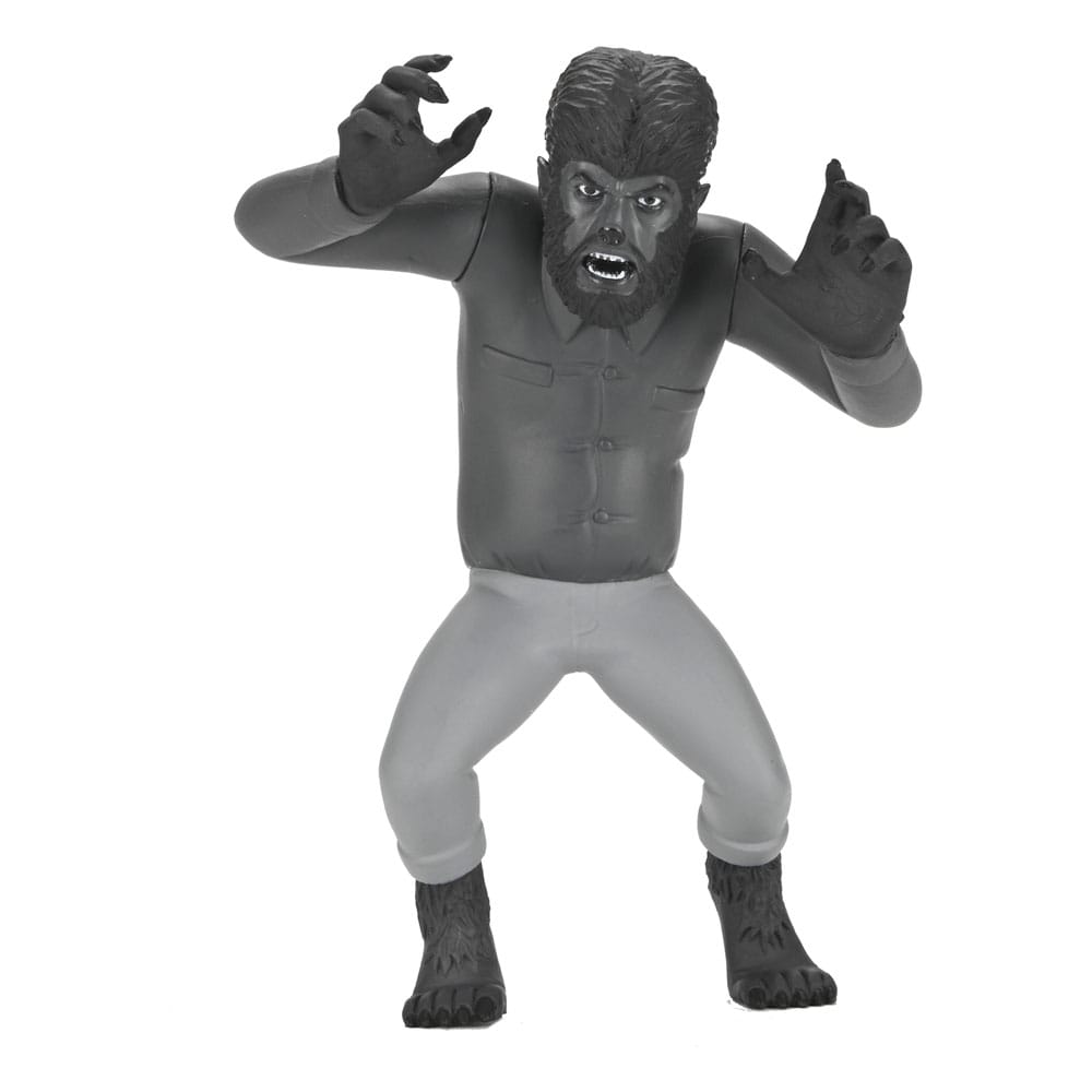 Universal Monsters Toony Terrors assortiment figurines 15 cm Silver Screen Edition Series 10 (12)