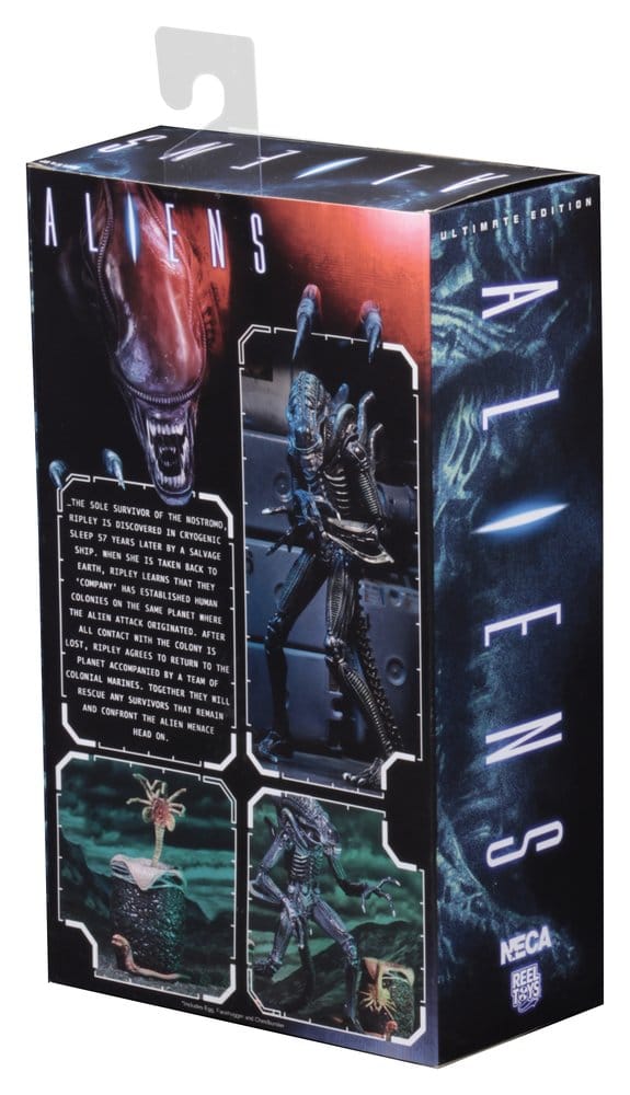 Aliens Ultimate figurine Warrior (1986) Blue 23 cm